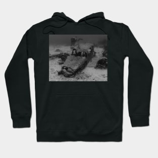 A Drug Smuggler's Wreck Sunken In The Bahamas Hoodie